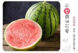 吃瓜大爽,吃瓜大爽背后的娱乐风云